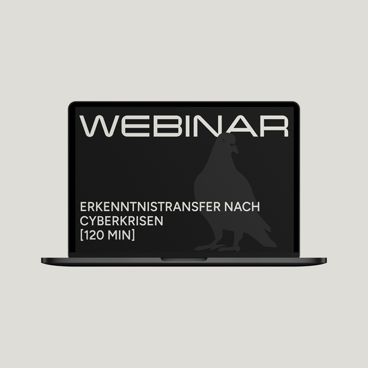 Erkenntnistransfer nach Cyberkrisen